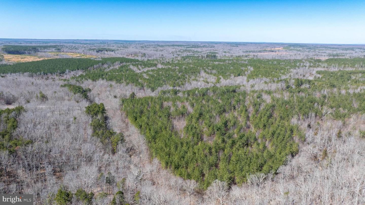 DOSWELL TOWN ROAD #5, MEHERRIN, Virginia 23954, ,Land,For sale,DOSWELL TOWN ROAD #5,VALB2000066 MLS # VALB2000066 DOSWELL TOWN ROAD #5, MEHERRIN, Virginia 23954, ,Land,For sale,DOSWELL TOWN ROAD #5,VALB2000066 MLS # VALB2000066