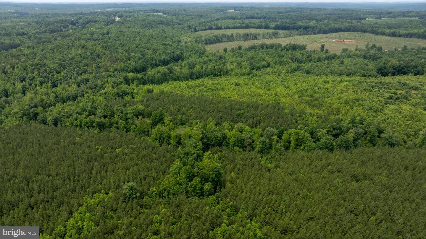 RABAT #8130-2, NATHALIE, Virginia 24577, ,Land,For sale,RABAT #8130-2,VAHX2000144 MLS # VAHX2000144 RABAT #8130-2, NATHALIE, Virginia 24577, ,Land,For sale,RABAT #8130-2,VAHX2000144 MLS # VAHX2000144