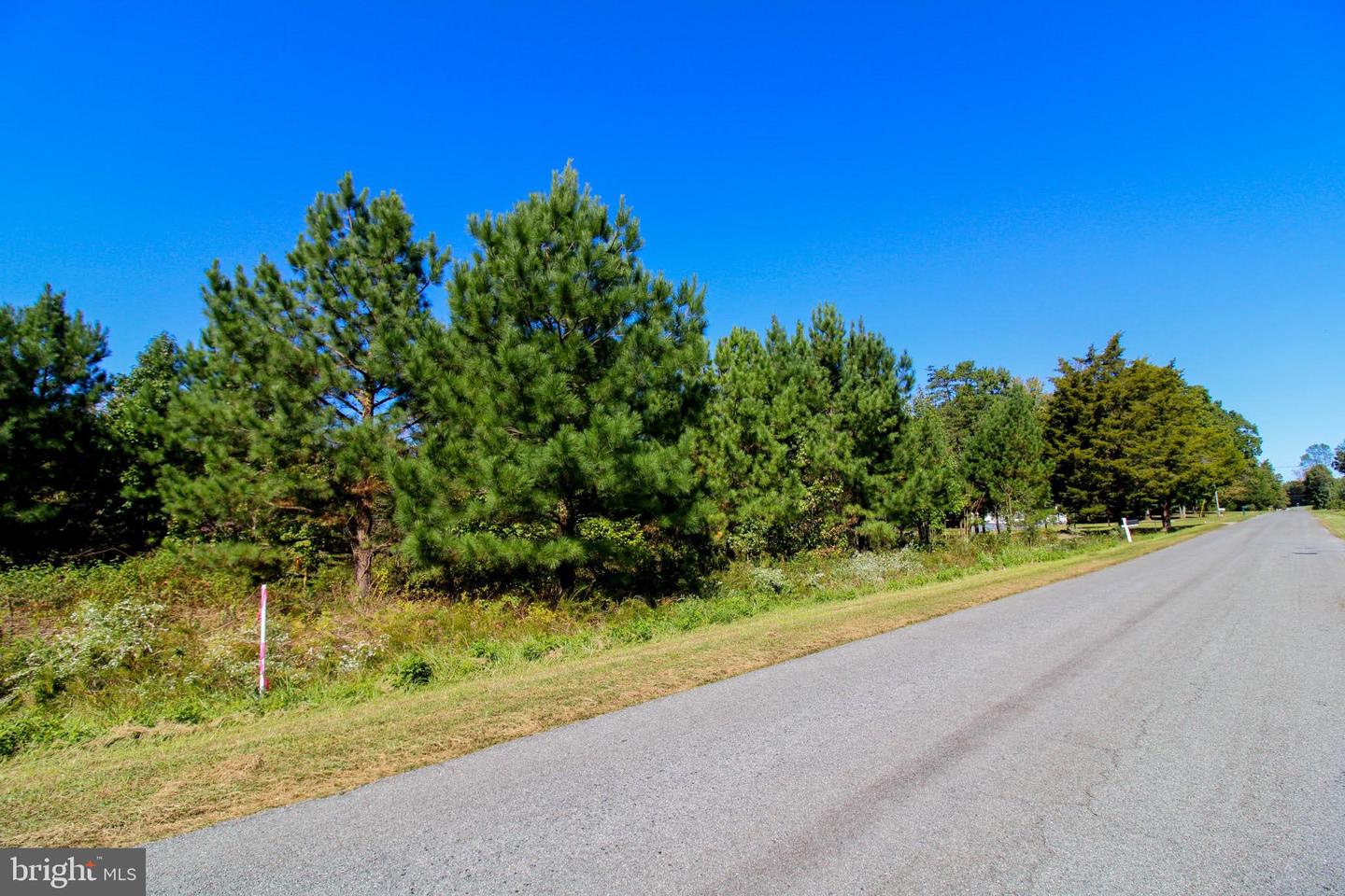 RABAT #8130-2, NATHALIE, Virginia 24577, ,Land,For sale,RABAT #8130-2,VAHX2000144 MLS # VAHX2000144 RABAT #8130-2, NATHALIE, Virginia 24577, ,Land,For sale,RABAT #8130-2,VAHX2000144 MLS # VAHX2000144