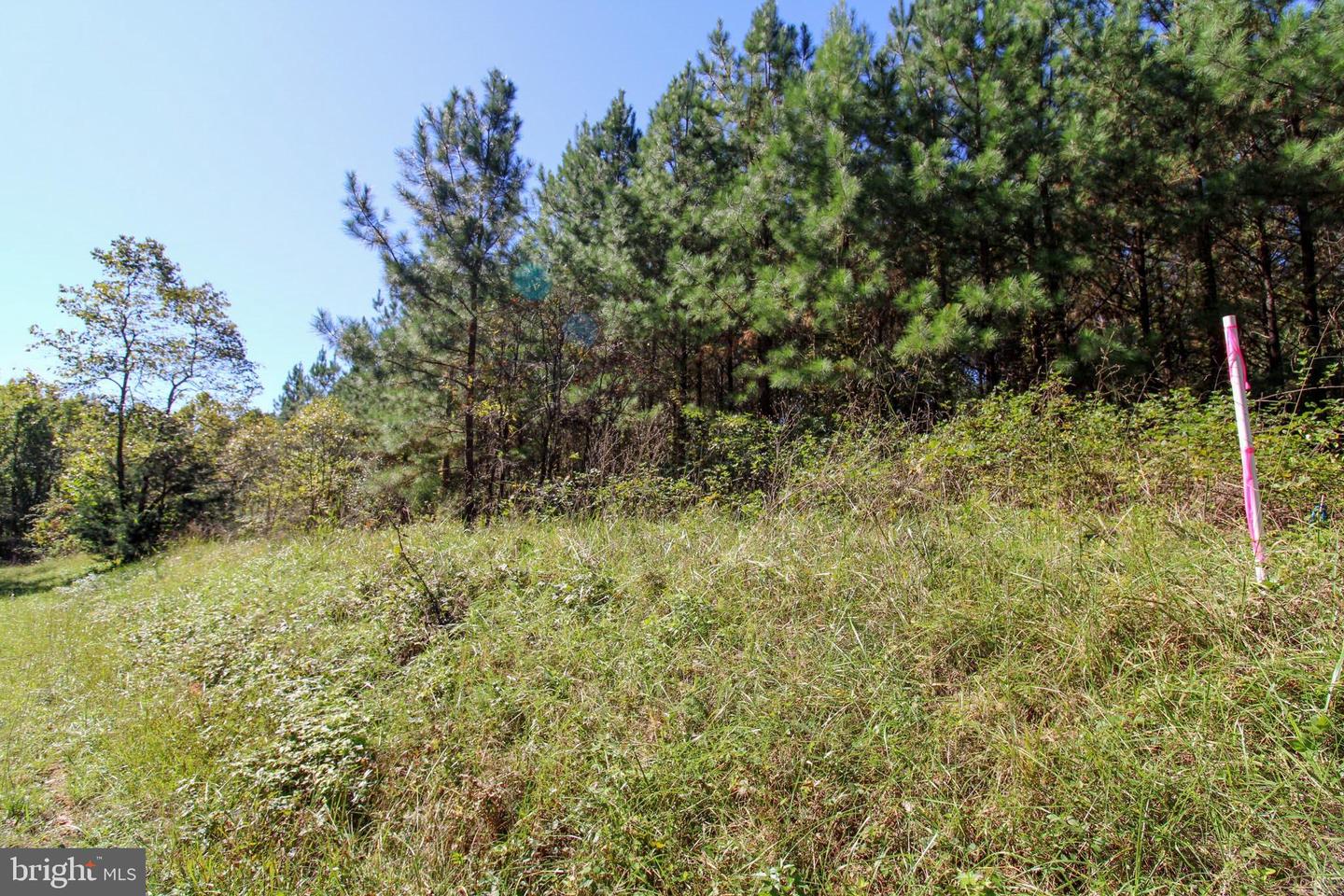 RABAT #8130-2, NATHALIE, Virginia 24577, ,Land,For sale,RABAT #8130-2,VAHX2000144 MLS # VAHX2000144 RABAT #8130-2, NATHALIE, Virginia 24577, ,Land,For sale,RABAT #8130-2,VAHX2000144 MLS # VAHX2000144