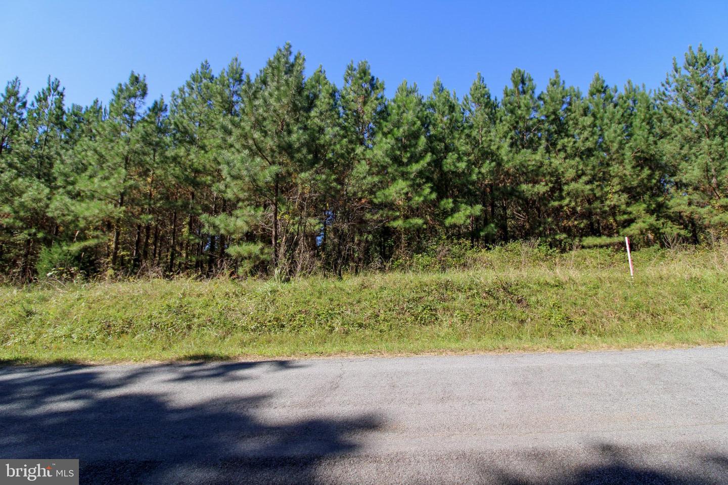 RABAT #8130-2, NATHALIE, Virginia 24577, ,Land,For sale,RABAT #8130-2,VAHX2000144 MLS # VAHX2000144 RABAT #8130-2, NATHALIE, Virginia 24577, ,Land,For sale,RABAT #8130-2,VAHX2000144 MLS # VAHX2000144