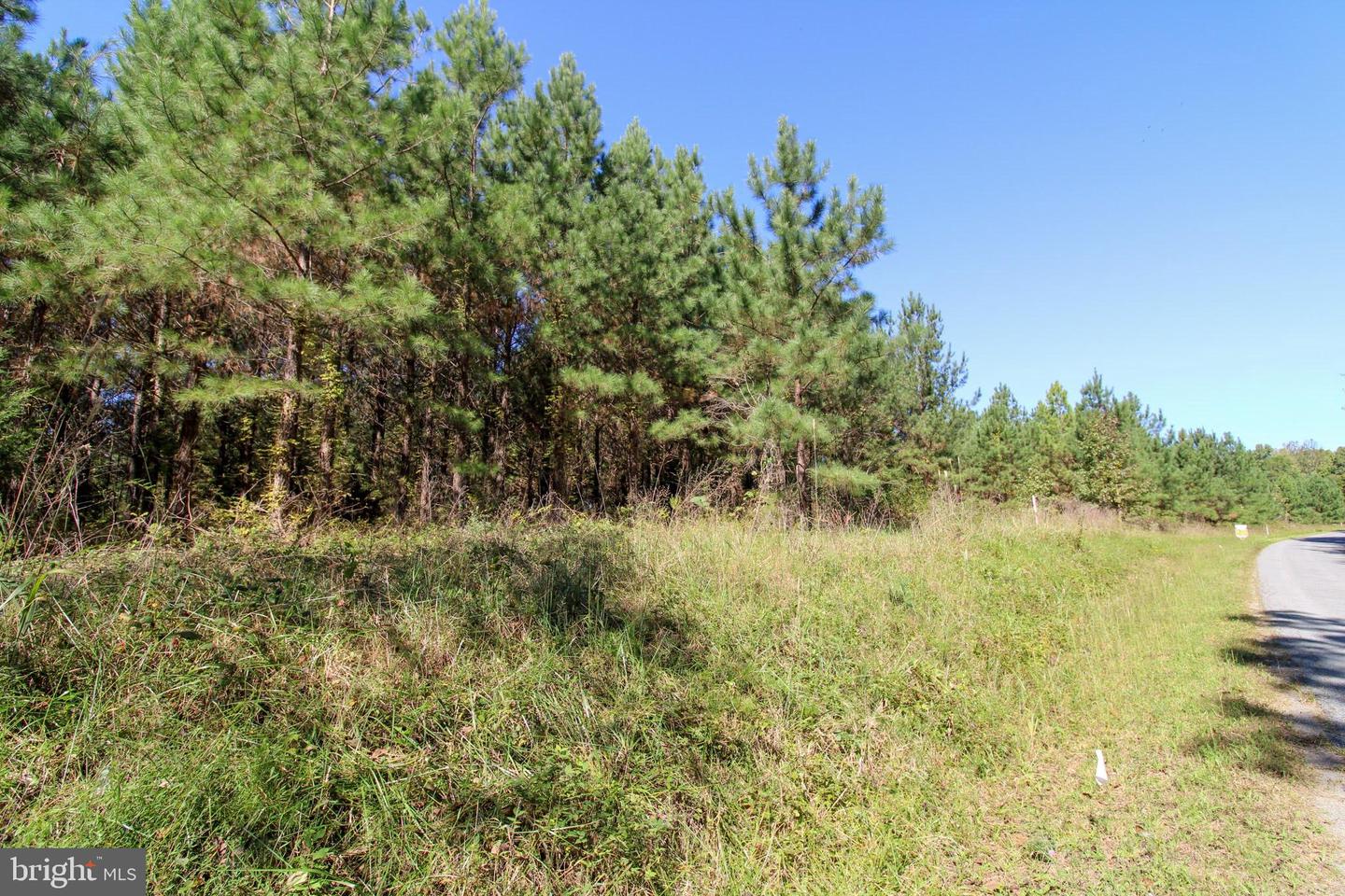 RABAT #8130-2, NATHALIE, Virginia 24577, ,Land,For sale,RABAT #8130-2,VAHX2000144 MLS # VAHX2000144 RABAT #8130-2, NATHALIE, Virginia 24577, ,Land,For sale,RABAT #8130-2,VAHX2000144 MLS # VAHX2000144