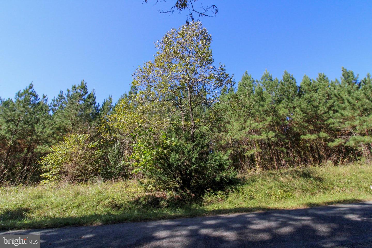 RABAT #8130-2, NATHALIE, Virginia 24577, ,Land,For sale,RABAT #8130-2,VAHX2000144 MLS # VAHX2000144 RABAT #8130-2, NATHALIE, Virginia 24577, ,Land,For sale,RABAT #8130-2,VAHX2000144 MLS # VAHX2000144