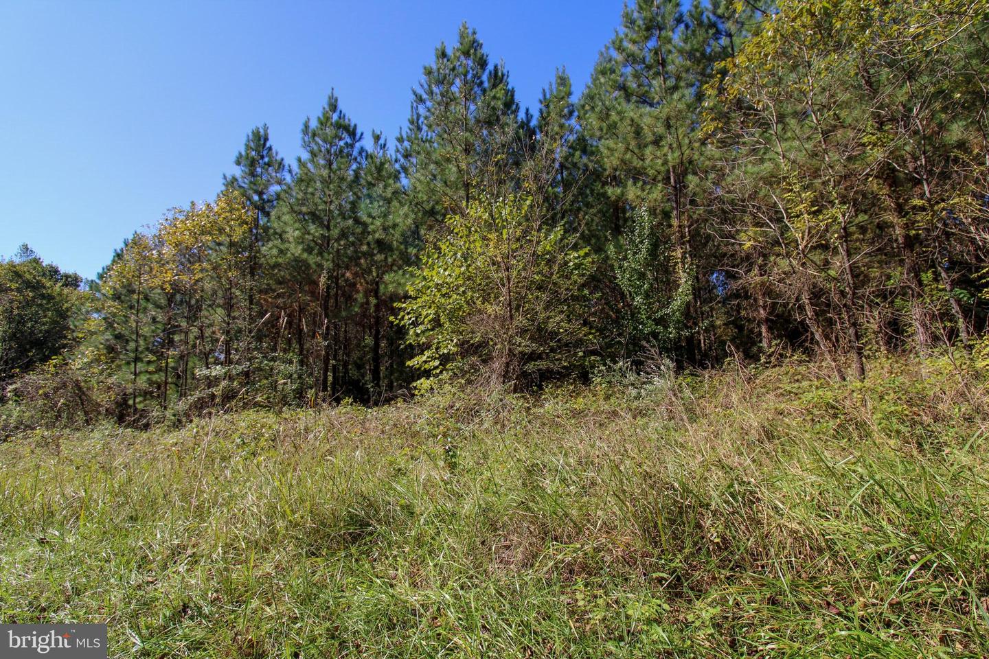 RABAT #8130-2, NATHALIE, Virginia 24577, ,Land,For sale,RABAT #8130-2,VAHX2000144 MLS # VAHX2000144 RABAT #8130-2, NATHALIE, Virginia 24577, ,Land,For sale,RABAT #8130-2,VAHX2000144 MLS # VAHX2000144