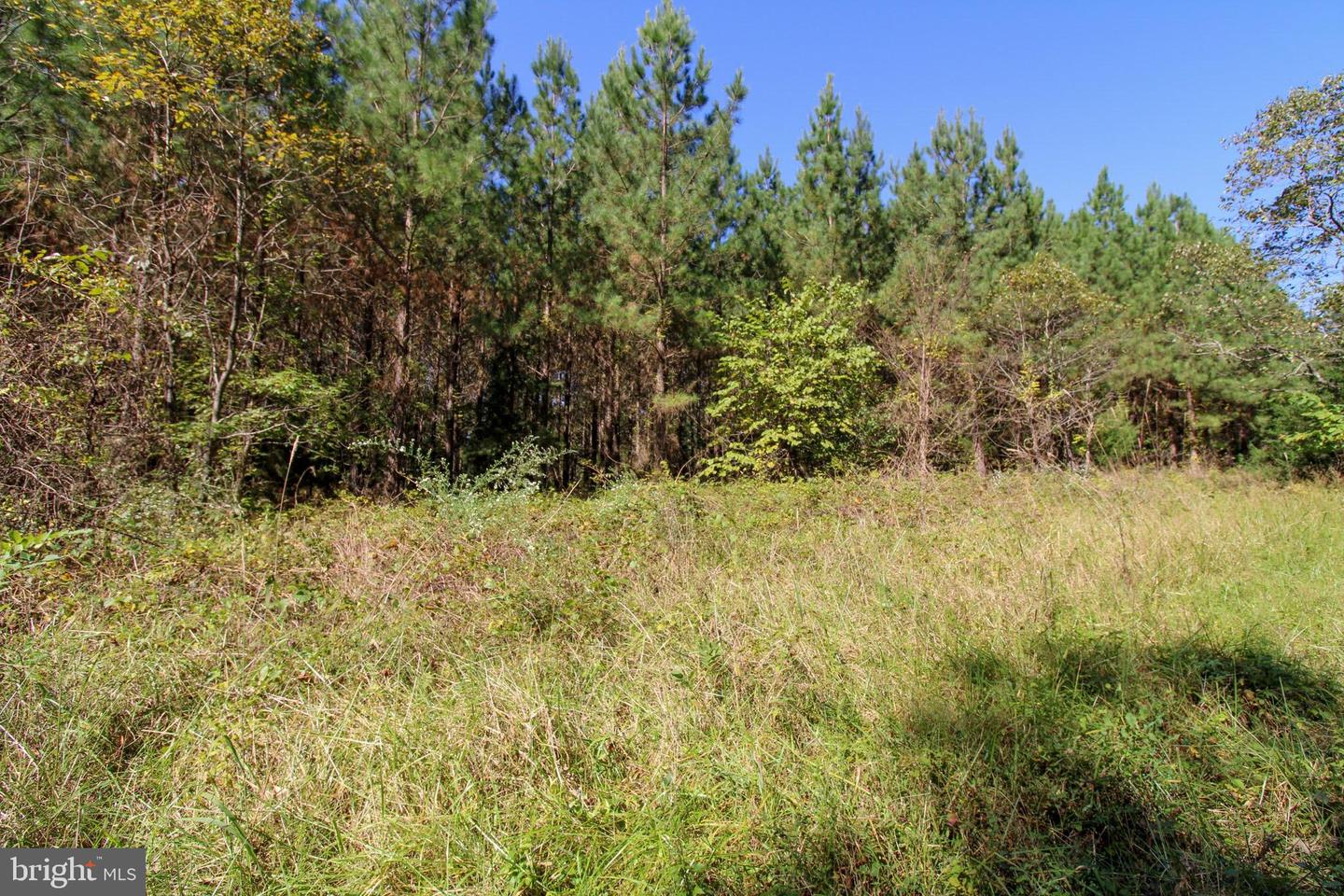 RABAT #8130-2, NATHALIE, Virginia 24577, ,Land,For sale,RABAT #8130-2,VAHX2000144 MLS # VAHX2000144 RABAT #8130-2, NATHALIE, Virginia 24577, ,Land,For sale,RABAT #8130-2,VAHX2000144 MLS # VAHX2000144