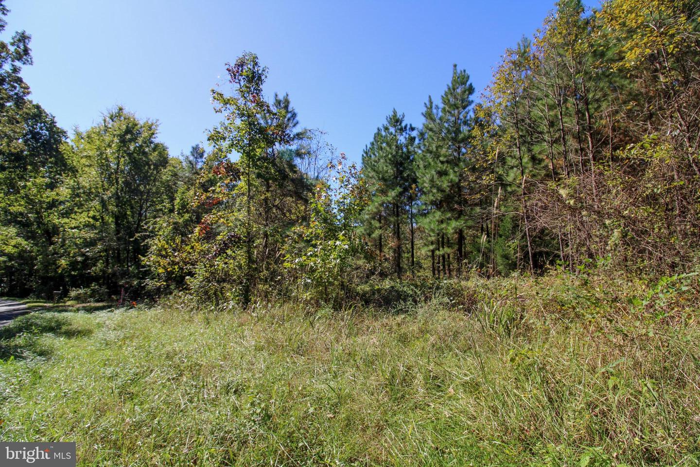 RABAT #8130-2, NATHALIE, Virginia 24577, ,Land,For sale,RABAT #8130-2,VAHX2000144 MLS # VAHX2000144 RABAT #8130-2, NATHALIE, Virginia 24577, ,Land,For sale,RABAT #8130-2,VAHX2000144 MLS # VAHX2000144