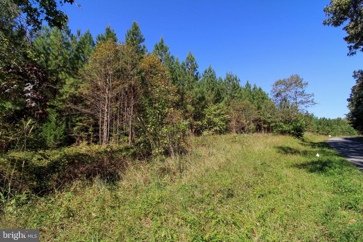 RABAT #8130-2, NATHALIE, Virginia 24577, ,Land,For sale,RABAT #8130-2,VAHX2000144 MLS # VAHX2000144 RABAT #8130-2, NATHALIE, Virginia 24577, ,Land,For sale,RABAT #8130-2,VAHX2000144 MLS # VAHX2000144