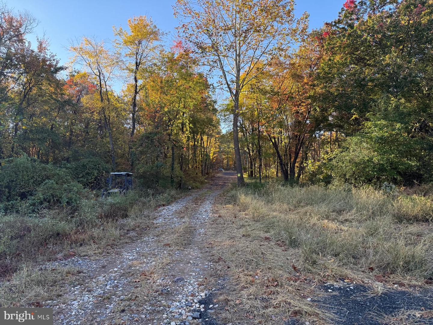 16120 BRANDY RD, CULPEPER, Virginia 22701, ,Land,For sale,16120 BRANDY RD,VACU2011906 MLS # VACU2011906 16120 BRANDY RD, CULPEPER, Virginia 22701, ,Land,For sale,16120 BRANDY RD,VACU2011906 MLS # VACU2011906