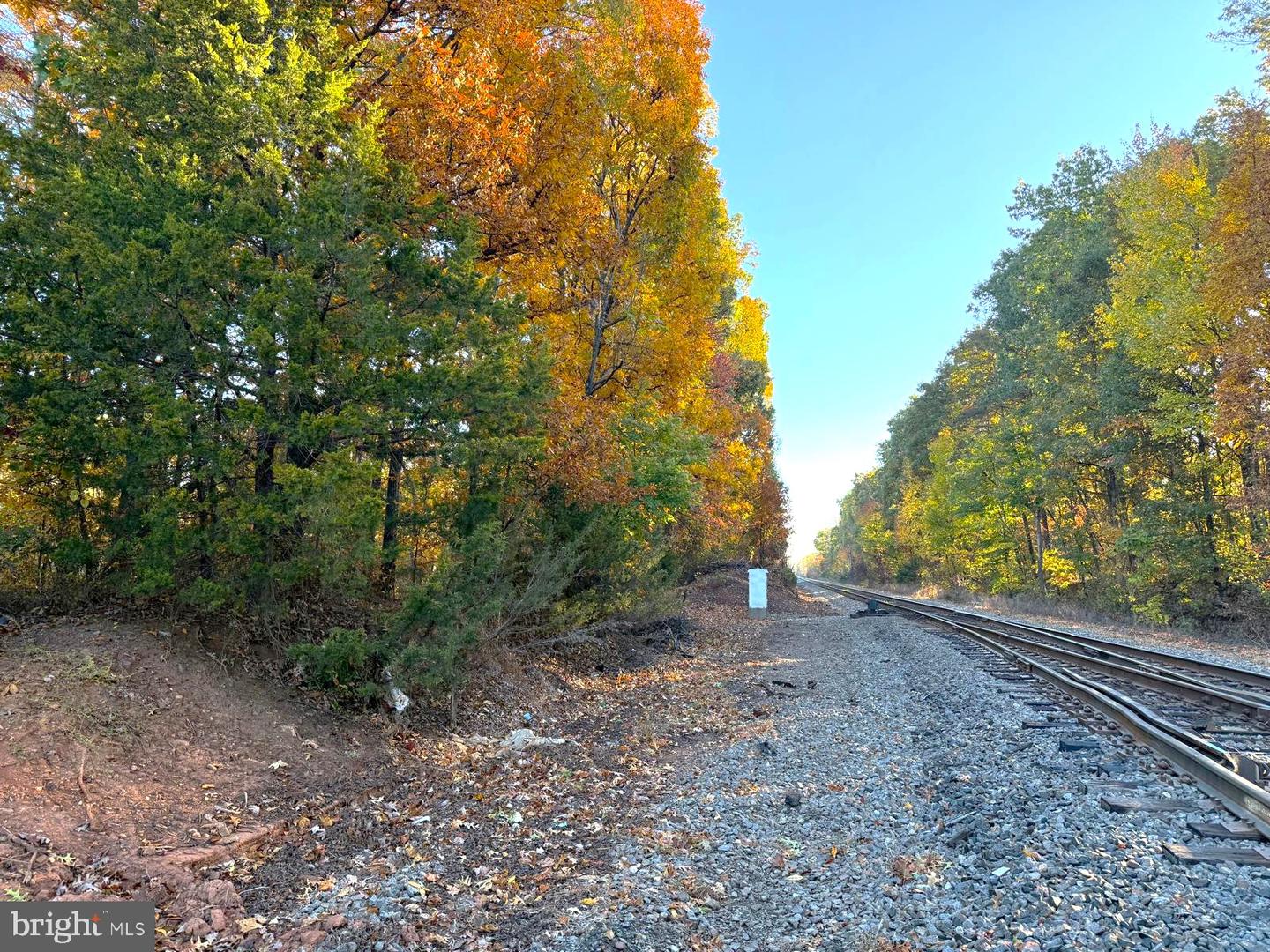 16120 BRANDY RD, CULPEPER, Virginia 22701, ,Land,For sale,16120 BRANDY RD,VACU2011906 MLS # VACU2011906 16120 BRANDY RD, CULPEPER, Virginia 22701, ,Land,For sale,16120 BRANDY RD,VACU2011906 MLS # VACU2011906