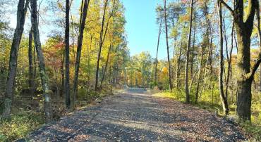 16120 BRANDY RD, CULPEPER, Virginia 22701, ,Land,For sale,16120 BRANDY RD,VACU2011906 MLS # VACU2011906
