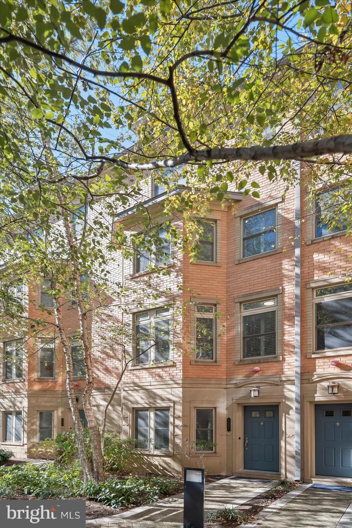 2227 12TH CT N, ARLINGTON, Virginia 22201, 4 Bedrooms Bedrooms, 13 Rooms Rooms,2 BathroomsBathrooms,Residential,For sale,2227 12TH CT N,VAAR2064838 MLS # VAAR2064838 2227 12TH CT N, ARLINGTON, Virginia 22201, 4 Bedrooms Bedrooms, 13 Rooms Rooms,2 BathroomsBathrooms,Residential,For sale,2227 12TH CT N,VAAR2064838 MLS # VAAR2064838