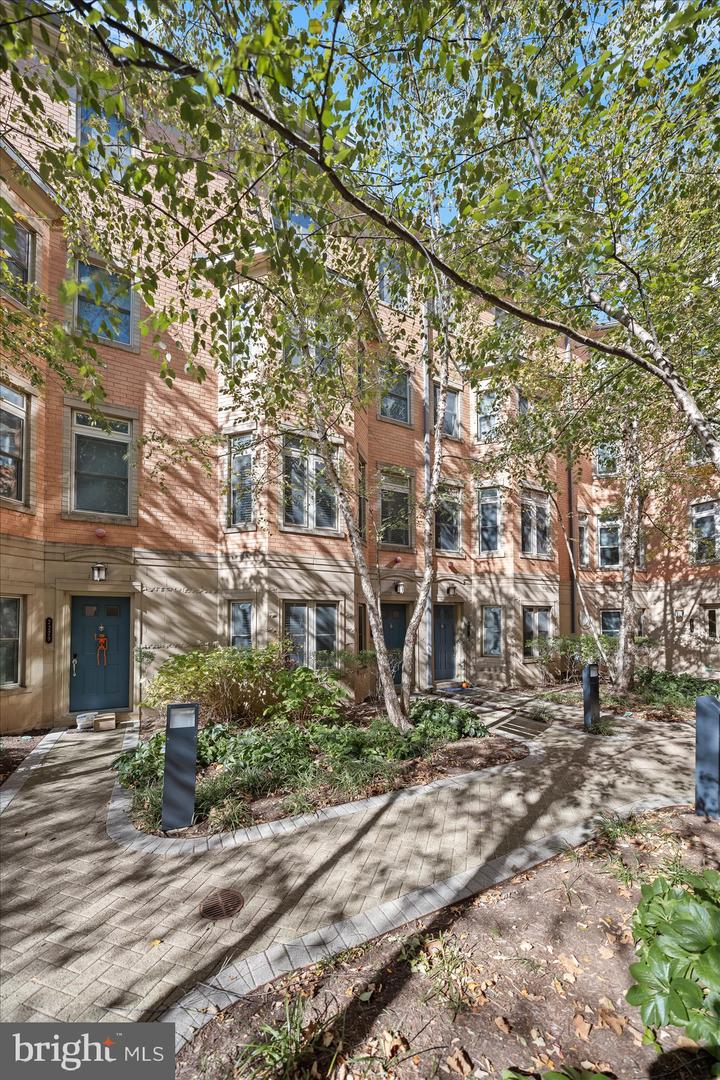 2227 12TH CT N, ARLINGTON, Virginia 22201, 4 Bedrooms Bedrooms, 13 Rooms Rooms,2 BathroomsBathrooms,Residential,For sale,2227 12TH CT N,VAAR2064838 MLS # VAAR2064838 2227 12TH CT N, ARLINGTON, Virginia 22201, 4 Bedrooms Bedrooms, 13 Rooms Rooms,2 BathroomsBathrooms,Residential,For sale,2227 12TH CT N,VAAR2064838 MLS # VAAR2064838
