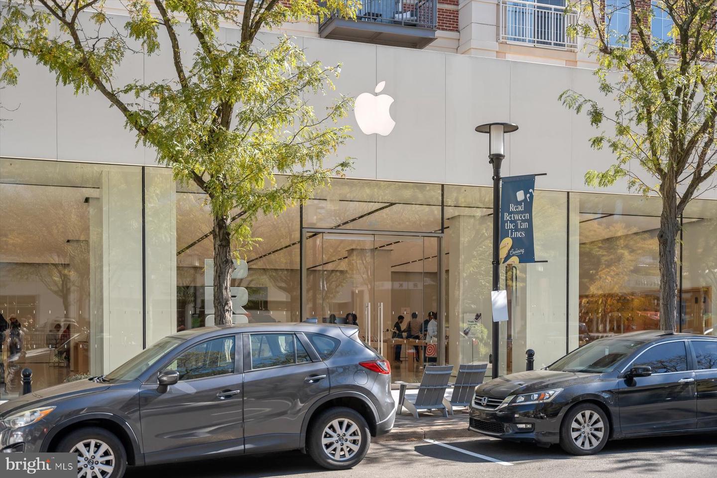 2227 12TH CT N, ARLINGTON, Virginia 22201, 4 Bedrooms Bedrooms, 13 Rooms Rooms,2 BathroomsBathrooms,Residential,For sale,2227 12TH CT N,VAAR2064838 MLS # VAAR2064838 2227 12TH CT N, ARLINGTON, Virginia 22201, 4 Bedrooms Bedrooms, 13 Rooms Rooms,2 BathroomsBathrooms,Residential,For sale,2227 12TH CT N,VAAR2064838 MLS # VAAR2064838