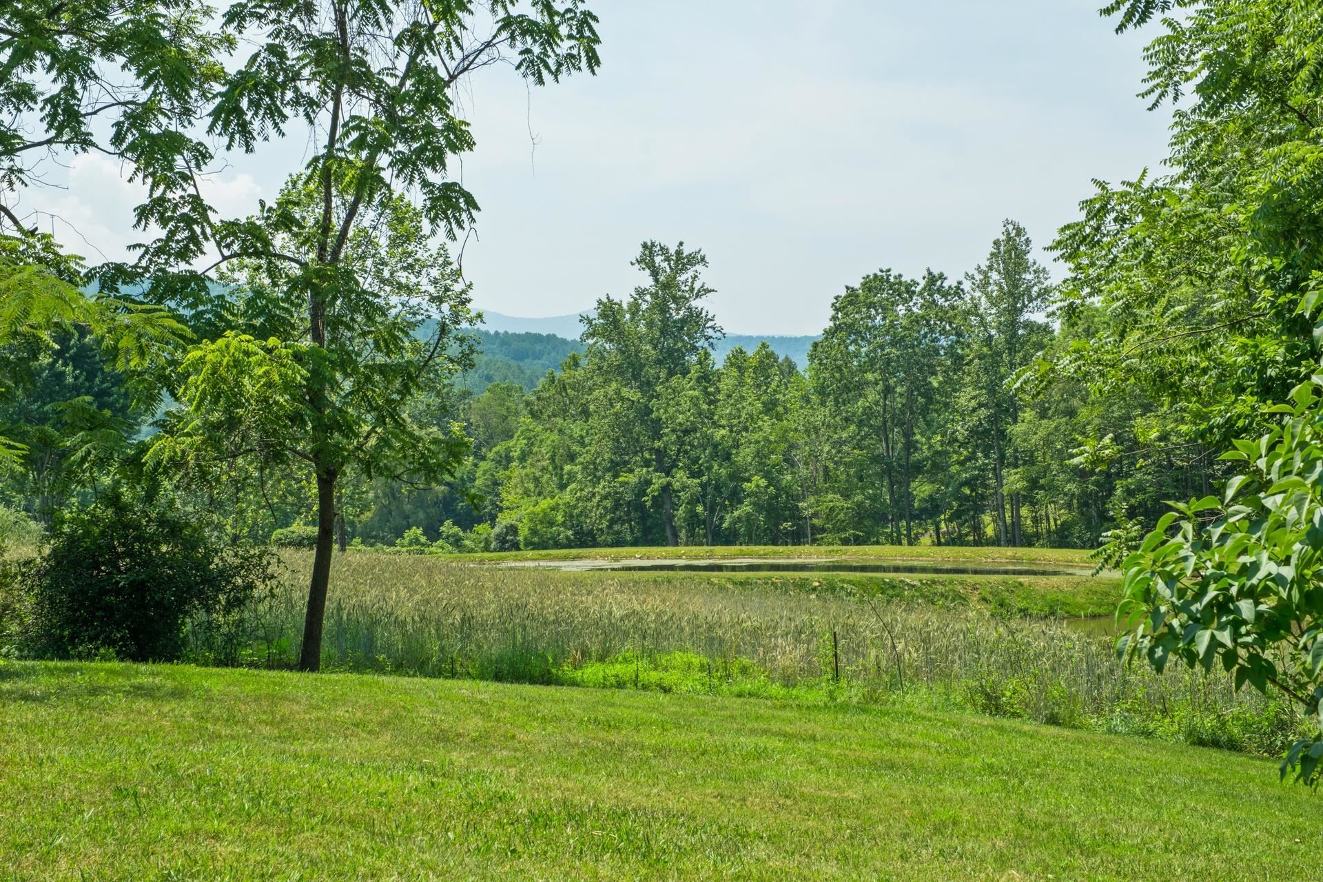 554 HARRIS COVE LN, ELKTON, Virginia 22827, 3 Bedrooms Bedrooms, ,2 BathroomsBathrooms,Residential,554 HARRIS COVE LN,666253 MLS # 666253 554 HARRIS COVE LN, ELKTON, Virginia 22827, 3 Bedrooms Bedrooms, ,2 BathroomsBathrooms,Residential,554 HARRIS COVE LN,666253 MLS # 666253