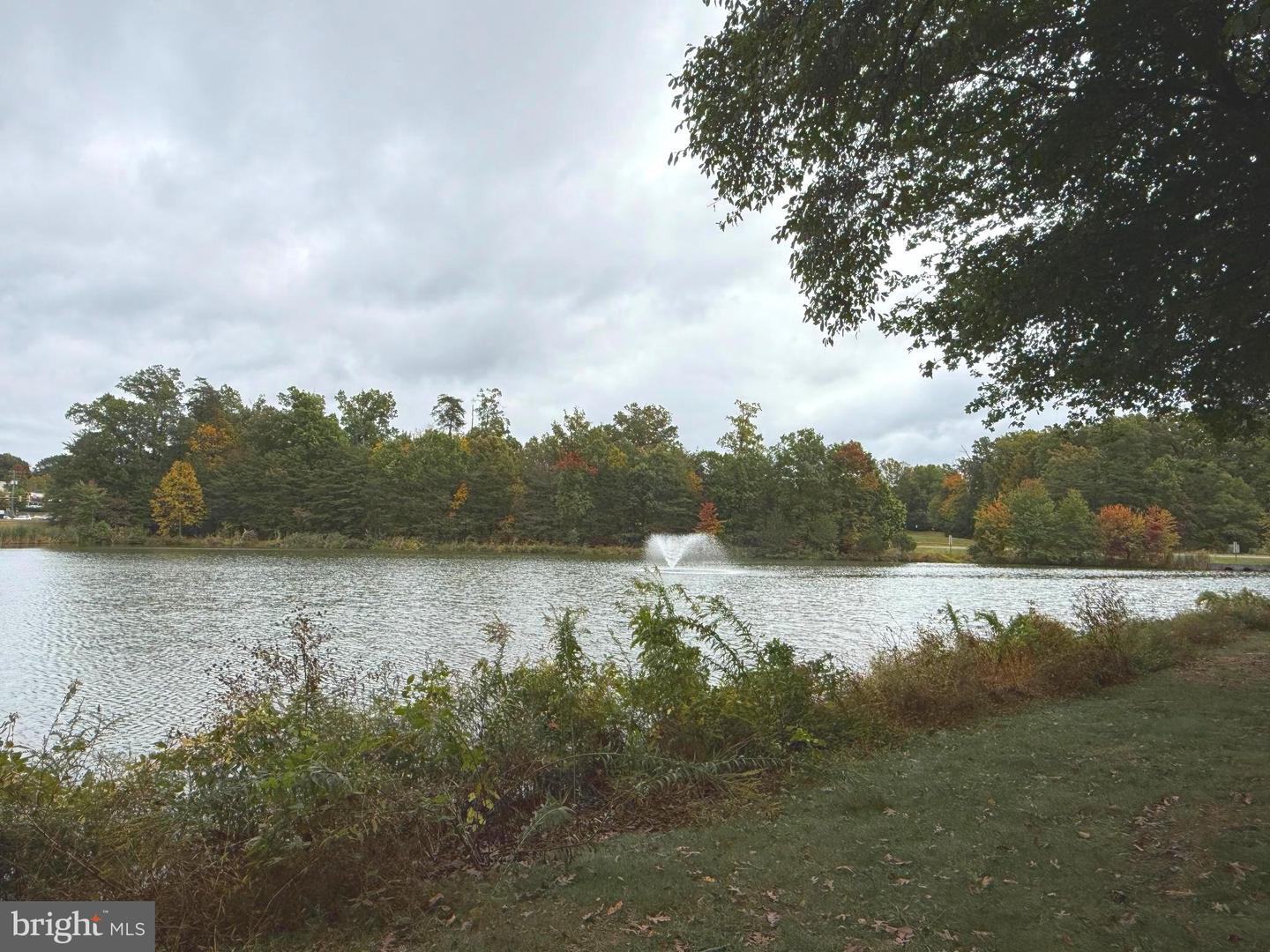1716 LAKE SHORE CREST DR #33, RESTON, Virginia 20190, 2 Bedrooms Bedrooms, ,1 BathroomBathrooms,Residential,For sale,1716 LAKE SHORE CREST DR #33,VAFX2275038 MLS # VAFX2275038 1716 LAKE SHORE CREST DR #33, RESTON, Virginia 20190, 2 Bedrooms Bedrooms, ,1 BathroomBathrooms,Residential,For sale,1716 LAKE SHORE CREST DR #33,VAFX2275038 MLS # VAFX2275038