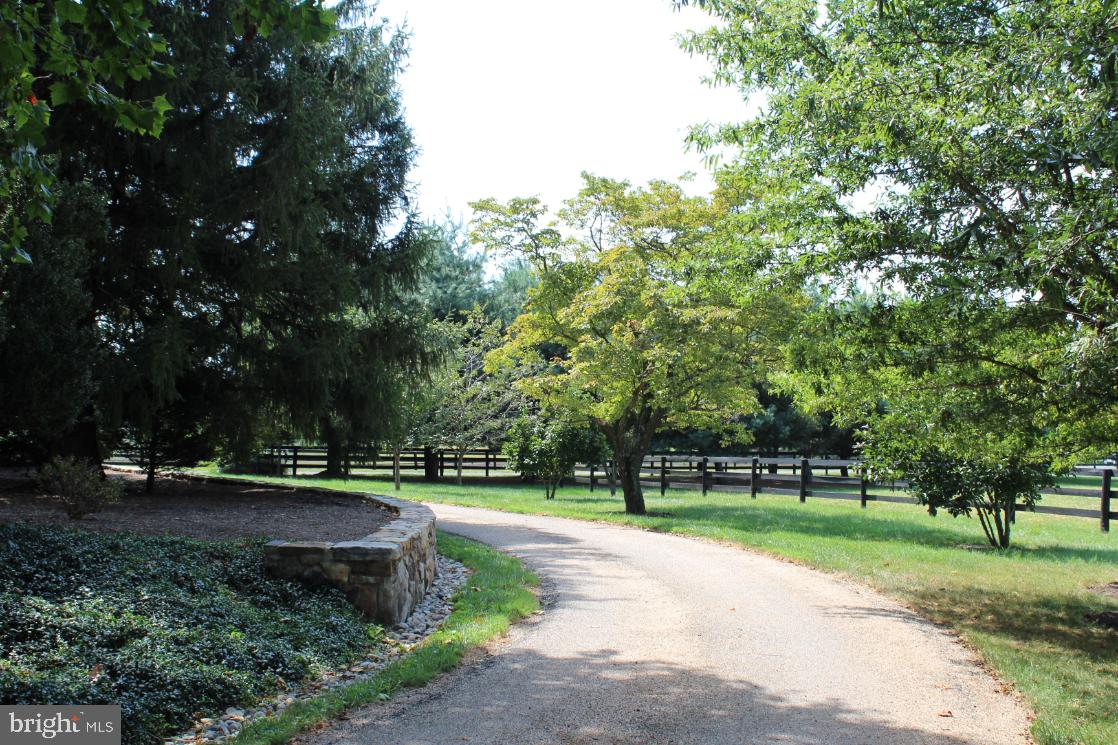 36824 PAXSON RD, PURCELLVILLE, Virginia 20132, 4 Bedrooms Bedrooms, ,3 BathroomsBathrooms,Residential,For sale,36824 PAXSON RD,VALO2109244 MLS # VALO2109244 36824 PAXSON RD, PURCELLVILLE, Virginia 20132, 4 Bedrooms Bedrooms, ,3 BathroomsBathrooms,Residential,For sale,36824 PAXSON RD,VALO2109244 MLS # VALO2109244