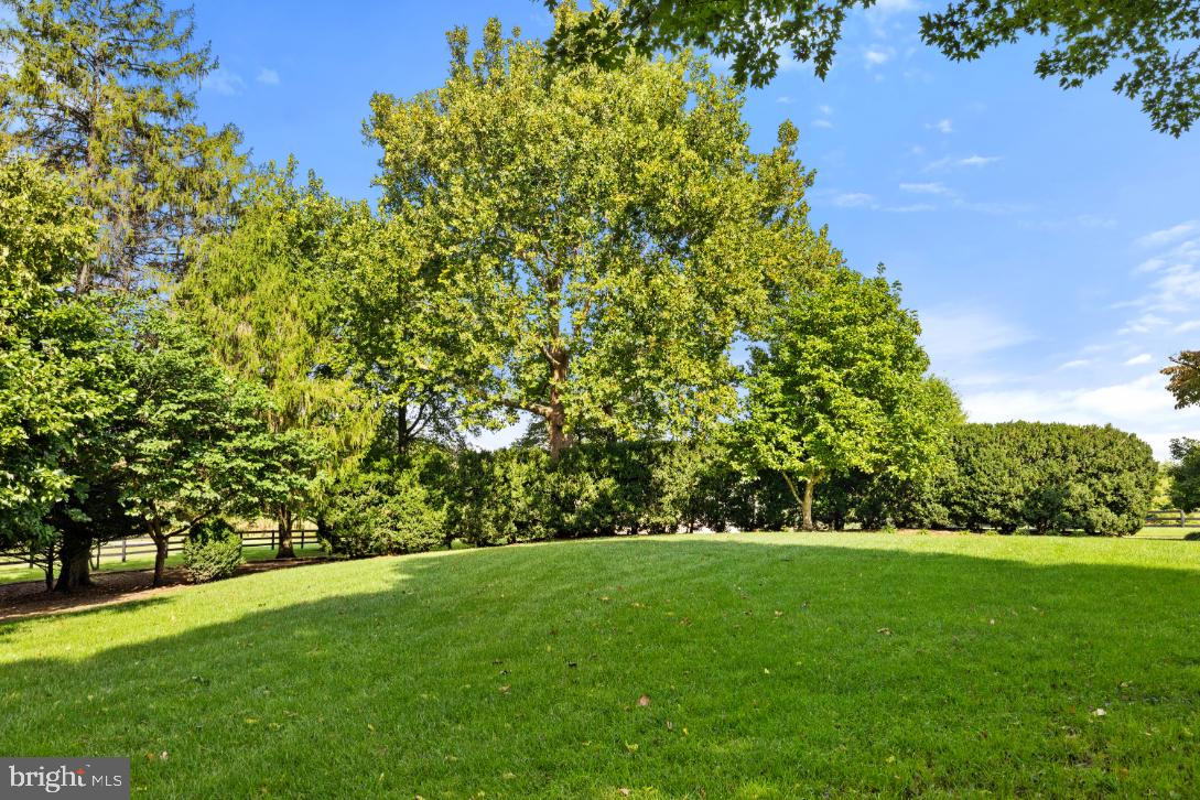 36824 PAXSON RD, PURCELLVILLE, Virginia 20132, 4 Bedrooms Bedrooms, ,3 BathroomsBathrooms,Residential,For sale,36824 PAXSON RD,VALO2109244 MLS # VALO2109244 36824 PAXSON RD, PURCELLVILLE, Virginia 20132, 4 Bedrooms Bedrooms, ,3 BathroomsBathrooms,Residential,For sale,36824 PAXSON RD,VALO2109244 MLS # VALO2109244