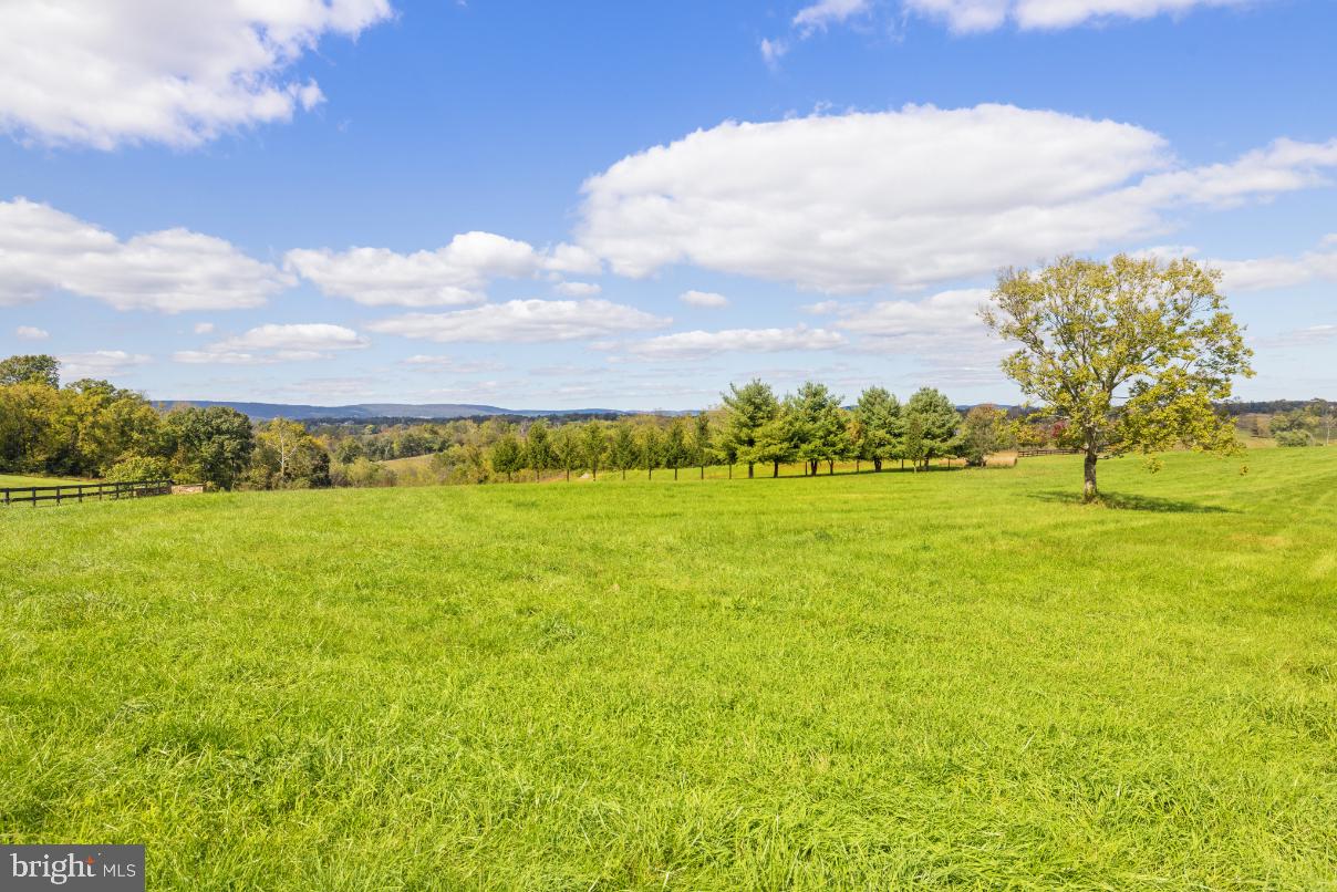 36824 PAXSON RD, PURCELLVILLE, Virginia 20132, 4 Bedrooms Bedrooms, ,3 BathroomsBathrooms,Residential,For sale,36824 PAXSON RD,VALO2109244 MLS # VALO2109244 36824 PAXSON RD, PURCELLVILLE, Virginia 20132, 4 Bedrooms Bedrooms, ,3 BathroomsBathrooms,Residential,For sale,36824 PAXSON RD,VALO2109244 MLS # VALO2109244