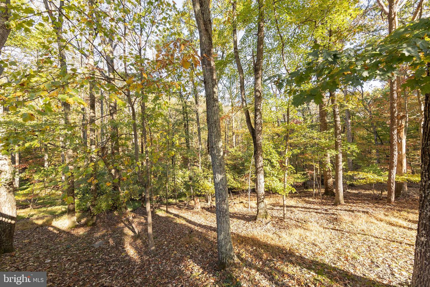 387 LAUREL LN, BLUEMONT, Virginia 20135, 2 Bedrooms Bedrooms, ,1 BathroomBathrooms,Residential,For sale,387 LAUREL LN,VACL2006172 MLS # VACL2006172 387 LAUREL LN, BLUEMONT, Virginia 20135, 2 Bedrooms Bedrooms, ,1 BathroomBathrooms,Residential,For sale,387 LAUREL LN,VACL2006172 MLS # VACL2006172