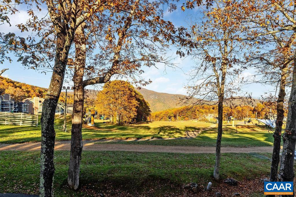 255 TIMBERS CONDOS, WINTERGREEN RESORT, Virginia 22967, 1 Bedroom Bedrooms, ,1 BathroomBathrooms,Residential,For sale,255 TIMBERS CONDOS,670319 MLS # 670319 255 TIMBERS CONDOS, WINTERGREEN RESORT, Virginia 22967, 1 Bedroom Bedrooms, ,1 BathroomBathrooms,Residential,For sale,255 TIMBERS CONDOS,670319 MLS # 670319