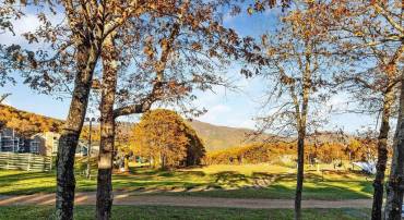 255 TIMBERS CONDOS, WINTERGREEN RESORT, Virginia 22967, 1 Bedroom Bedrooms, ,1 BathroomBathrooms,Residential,For sale,255 TIMBERS CONDOS,670319 MLS # 670319