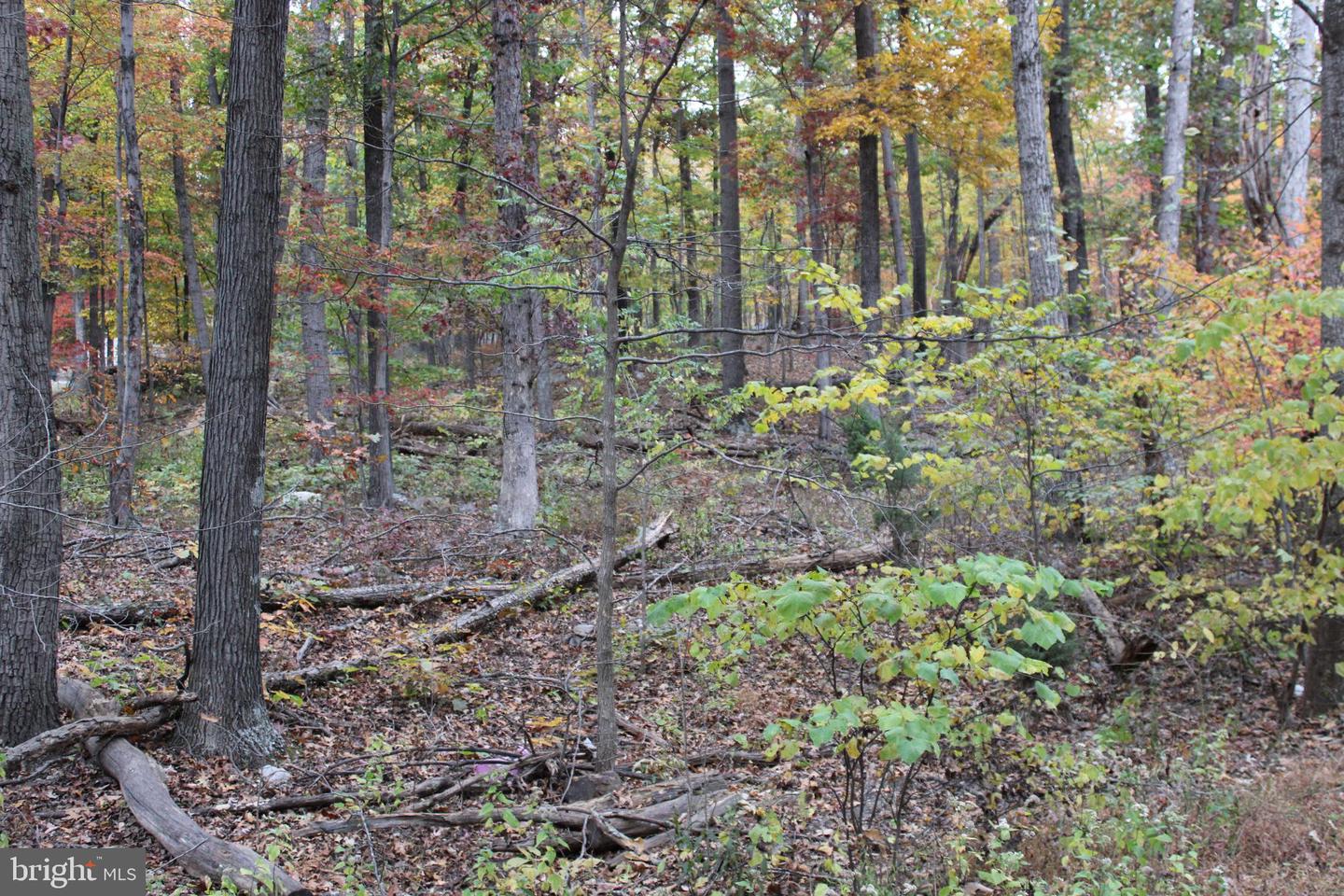 309 RACCOON DR, WINCHESTER, Virginia 22602, 3 Bedrooms Bedrooms, ,2 BathroomsBathrooms,Residential,For sale,309 RACCOON DR,VAFV2037620 MLS # VAFV2037620