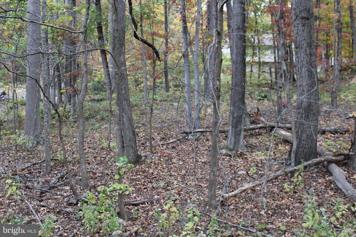 309 RACCOON DR, WINCHESTER, Virginia 22602, 3 Bedrooms Bedrooms, ,2 BathroomsBathrooms,Residential,For sale,309 RACCOON DR,VAFV2037620 MLS # VAFV2037620