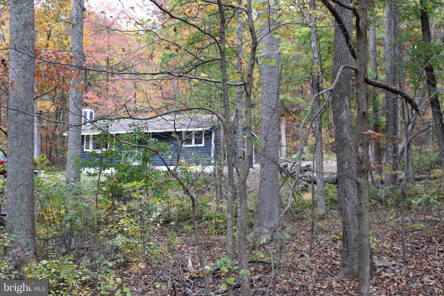 309 RACCOON DR, WINCHESTER, Virginia 22602, 3 Bedrooms Bedrooms, ,2 BathroomsBathrooms,Residential,For sale,309 RACCOON DR,VAFV2037620 MLS # VAFV2037620 309 RACCOON DR, WINCHESTER, Virginia 22602, 3 Bedrooms Bedrooms, ,2 BathroomsBathrooms,Residential,For sale,309 RACCOON DR,VAFV2037620 MLS # VAFV2037620