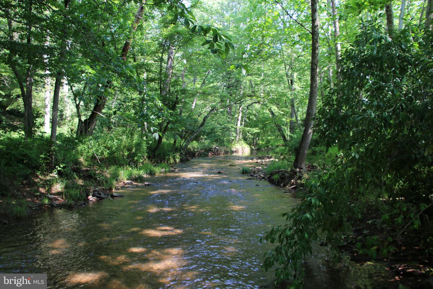 BRUSH CREEK RD, WINCHESTER, Virginia 22603, ,Land,For sale,BRUSH CREEK RD,VAFV2037512 MLS # VAFV2037512 BRUSH CREEK RD, WINCHESTER, Virginia 22603, ,Land,For sale,BRUSH CREEK RD,VAFV2037512 MLS # VAFV2037512