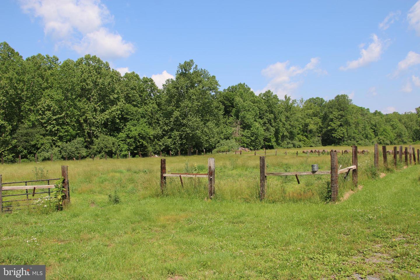 BRUSH CREEK RD, WINCHESTER, Virginia 22603, ,Land,For sale,BRUSH CREEK RD,VAFV2037512 MLS # VAFV2037512 BRUSH CREEK RD, WINCHESTER, Virginia 22603, ,Land,For sale,BRUSH CREEK RD,VAFV2037512 MLS # VAFV2037512