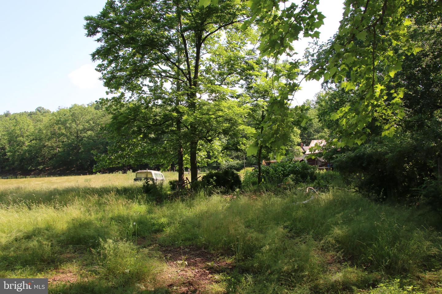 BRUSH CREEK RD, WINCHESTER, Virginia 22603, ,Land,For sale,BRUSH CREEK RD,VAFV2037512 MLS # VAFV2037512 BRUSH CREEK RD, WINCHESTER, Virginia 22603, ,Land,For sale,BRUSH CREEK RD,VAFV2037512 MLS # VAFV2037512