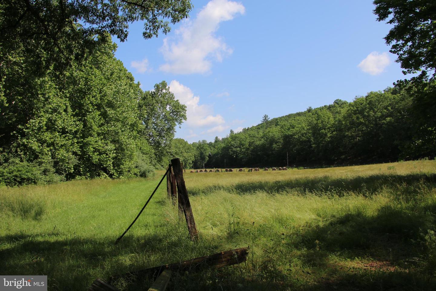 BRUSH CREEK RD, WINCHESTER, Virginia 22603, ,Land,For sale,BRUSH CREEK RD,VAFV2037512 MLS # VAFV2037512 BRUSH CREEK RD, WINCHESTER, Virginia 22603, ,Land,For sale,BRUSH CREEK RD,VAFV2037512 MLS # VAFV2037512