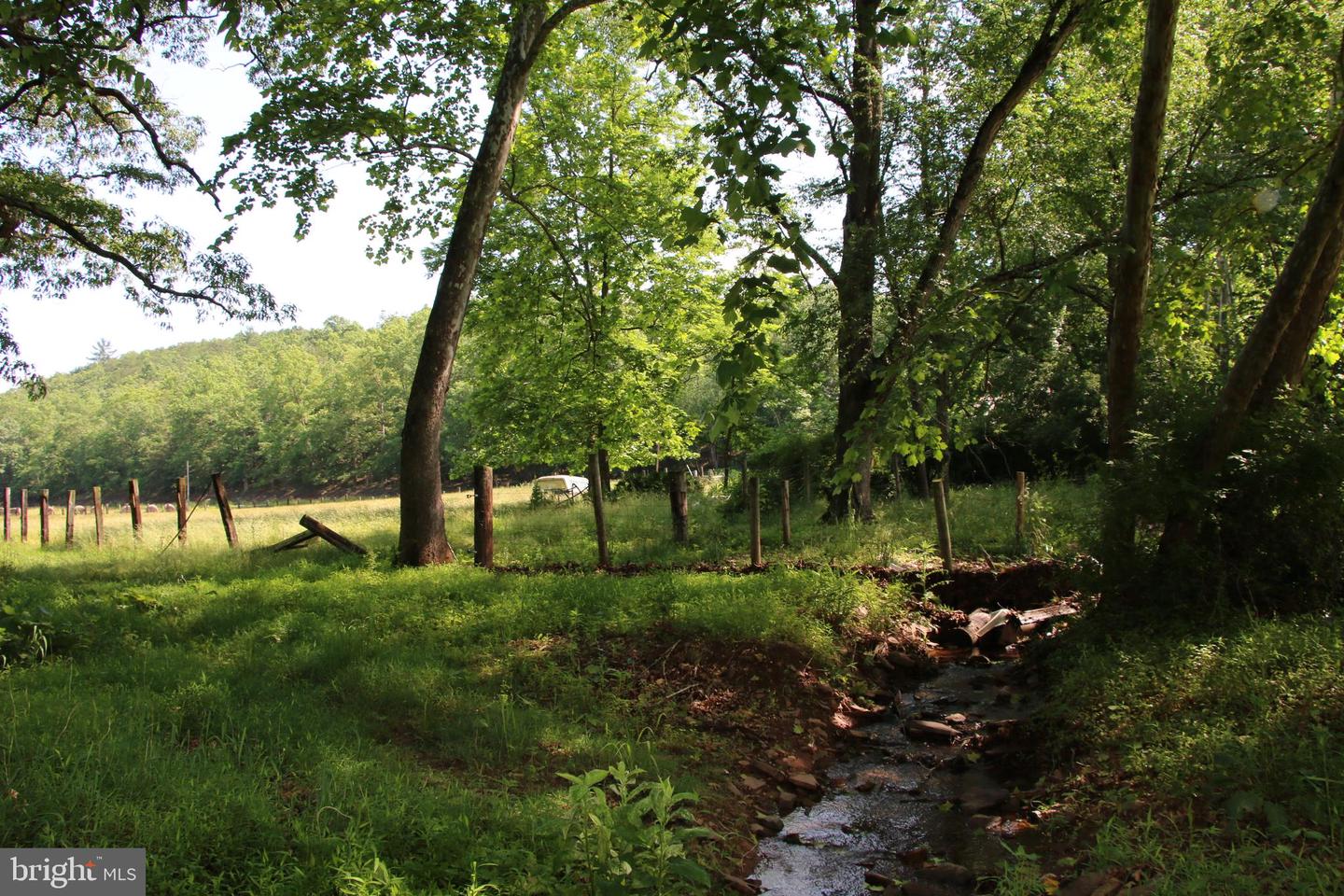 BRUSH CREEK RD, WINCHESTER, Virginia 22603, ,Land,For sale,BRUSH CREEK RD,VAFV2037512 MLS # VAFV2037512 BRUSH CREEK RD, WINCHESTER, Virginia 22603, ,Land,For sale,BRUSH CREEK RD,VAFV2037512 MLS # VAFV2037512