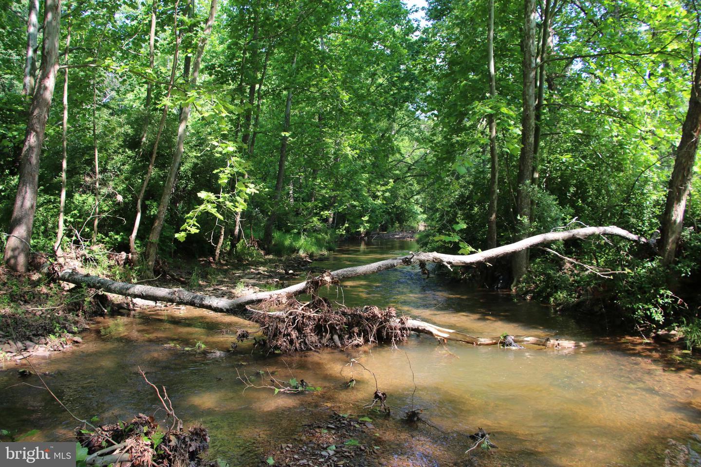 BRUSH CREEK RD, WINCHESTER, Virginia 22603, ,Land,For sale,BRUSH CREEK RD,VAFV2037512 MLS # VAFV2037512 BRUSH CREEK RD, WINCHESTER, Virginia 22603, ,Land,For sale,BRUSH CREEK RD,VAFV2037512 MLS # VAFV2037512