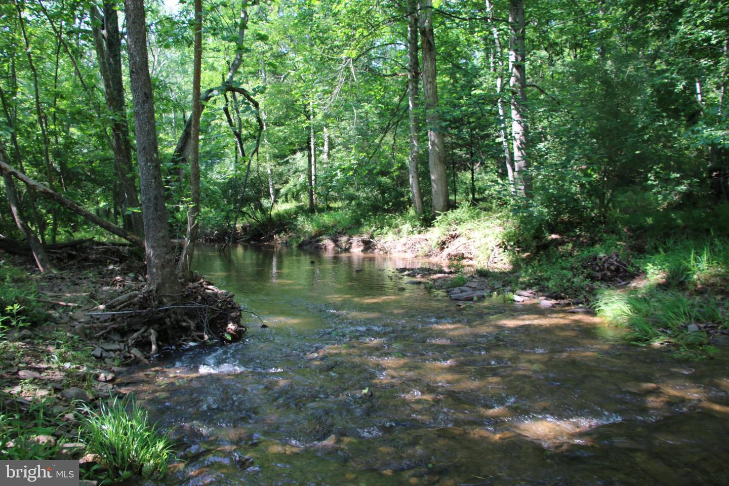 BRUSH CREEK RD, WINCHESTER, Virginia 22603, ,Land,For sale,BRUSH CREEK RD,VAFV2037512 MLS # VAFV2037512 BRUSH CREEK RD, WINCHESTER, Virginia 22603, ,Land,For sale,BRUSH CREEK RD,VAFV2037512 MLS # VAFV2037512
