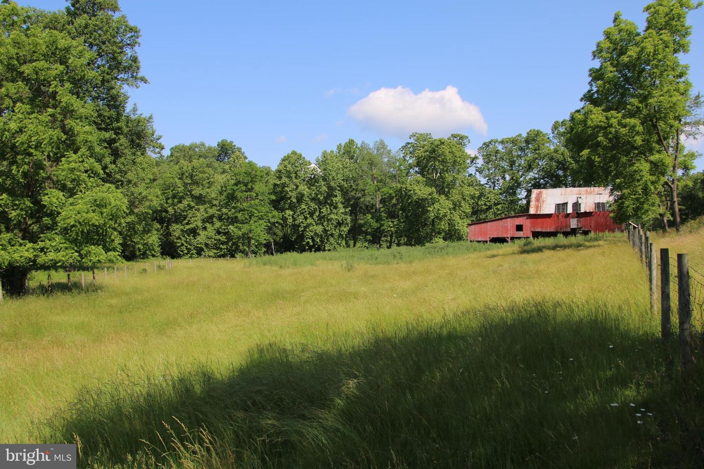 BRUSH CREEK RD, WINCHESTER, Virginia 22603, ,Land,For sale,BRUSH CREEK RD,VAFV2037512 MLS # VAFV2037512 BRUSH CREEK RD, WINCHESTER, Virginia 22603, ,Land,For sale,BRUSH CREEK RD,VAFV2037512 MLS # VAFV2037512