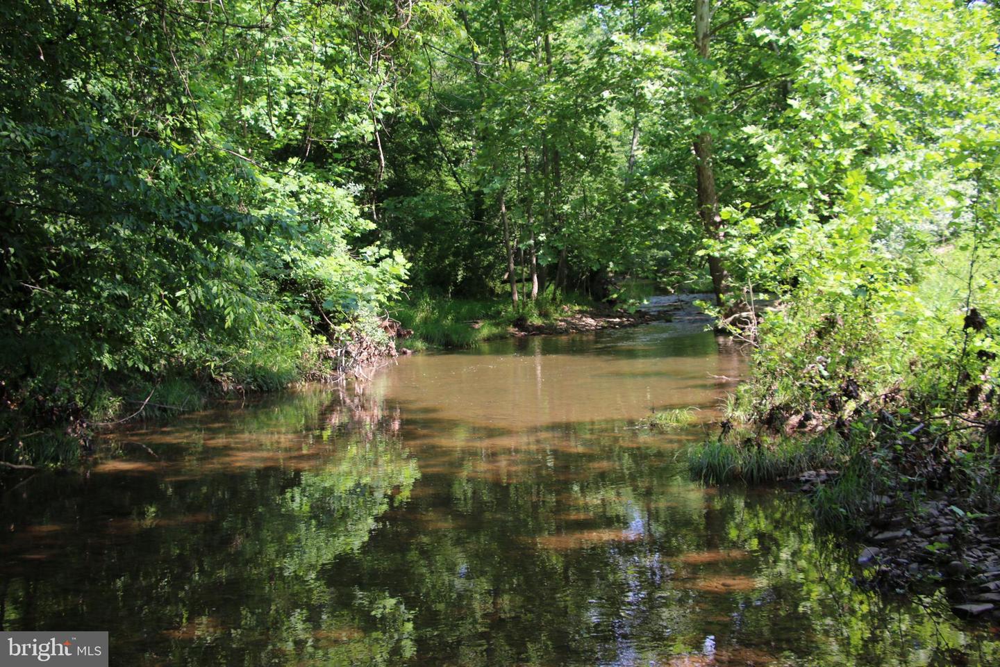 BRUSH CREEK RD, WINCHESTER, Virginia 22603, ,Land,For sale,BRUSH CREEK RD,VAFV2037512 MLS # VAFV2037512 BRUSH CREEK RD, WINCHESTER, Virginia 22603, ,Land,For sale,BRUSH CREEK RD,VAFV2037512 MLS # VAFV2037512