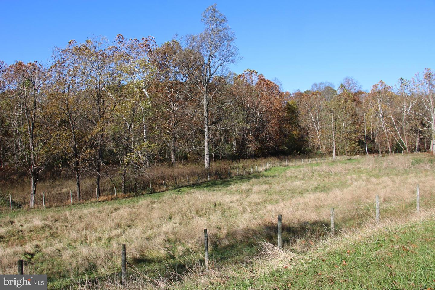 BRUSH CREEK RD, WINCHESTER, Virginia 22603, ,Land,For sale,BRUSH CREEK RD,VAFV2037512 MLS # VAFV2037512 BRUSH CREEK RD, WINCHESTER, Virginia 22603, ,Land,For sale,BRUSH CREEK RD,VAFV2037512 MLS # VAFV2037512