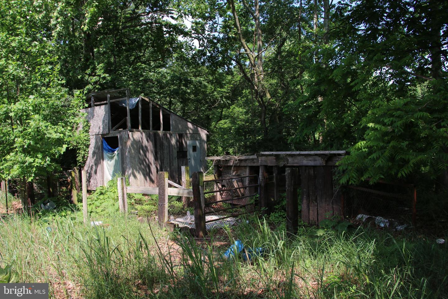 BRUSH CREEK RD, WINCHESTER, Virginia 22603, ,Land,For sale,BRUSH CREEK RD,VAFV2037512 MLS # VAFV2037512 BRUSH CREEK RD, WINCHESTER, Virginia 22603, ,Land,For sale,BRUSH CREEK RD,VAFV2037512 MLS # VAFV2037512