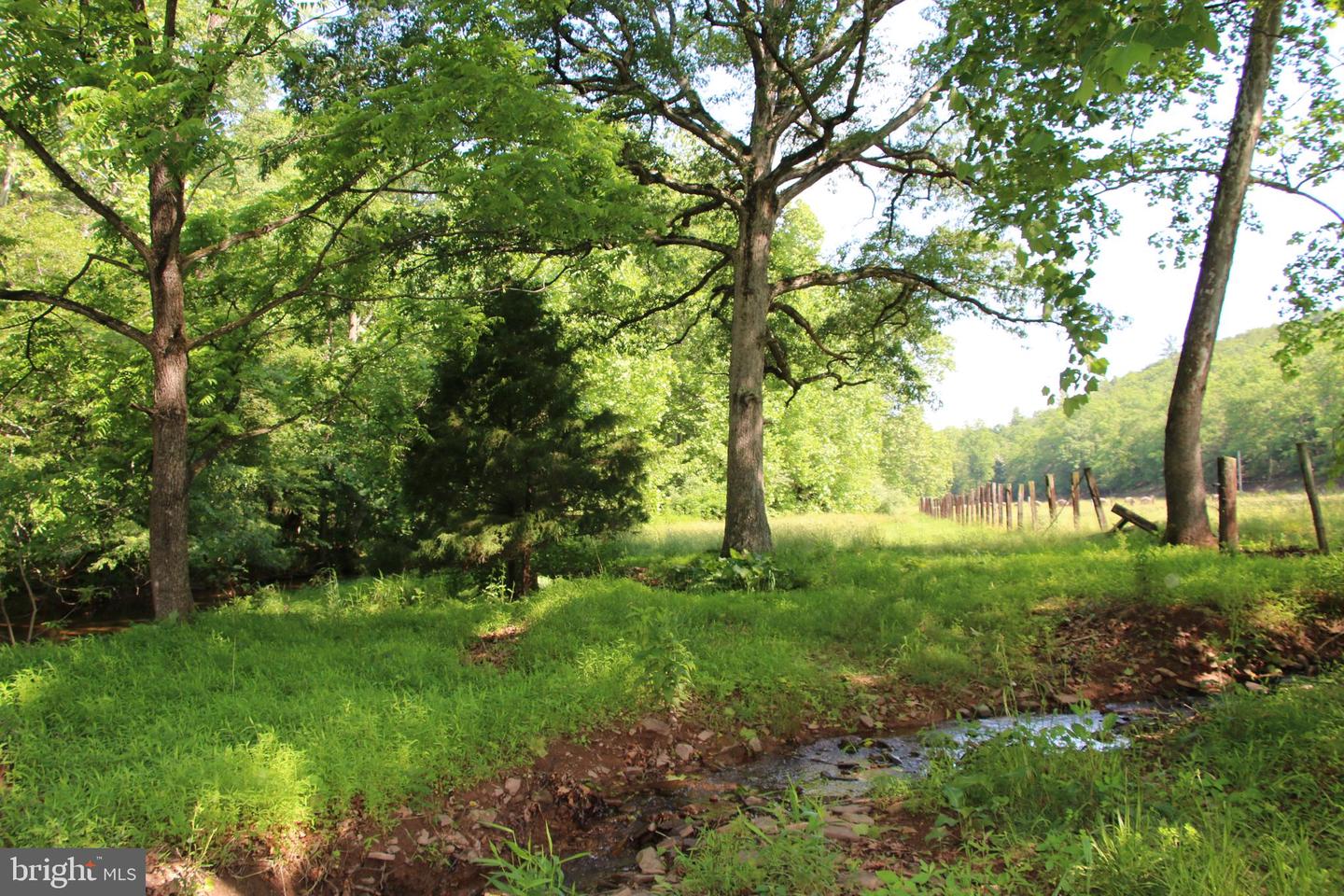 BRUSH CREEK RD, WINCHESTER, Virginia 22603, ,Land,For sale,BRUSH CREEK RD,VAFV2037512 MLS # VAFV2037512 BRUSH CREEK RD, WINCHESTER, Virginia 22603, ,Land,For sale,BRUSH CREEK RD,VAFV2037512 MLS # VAFV2037512