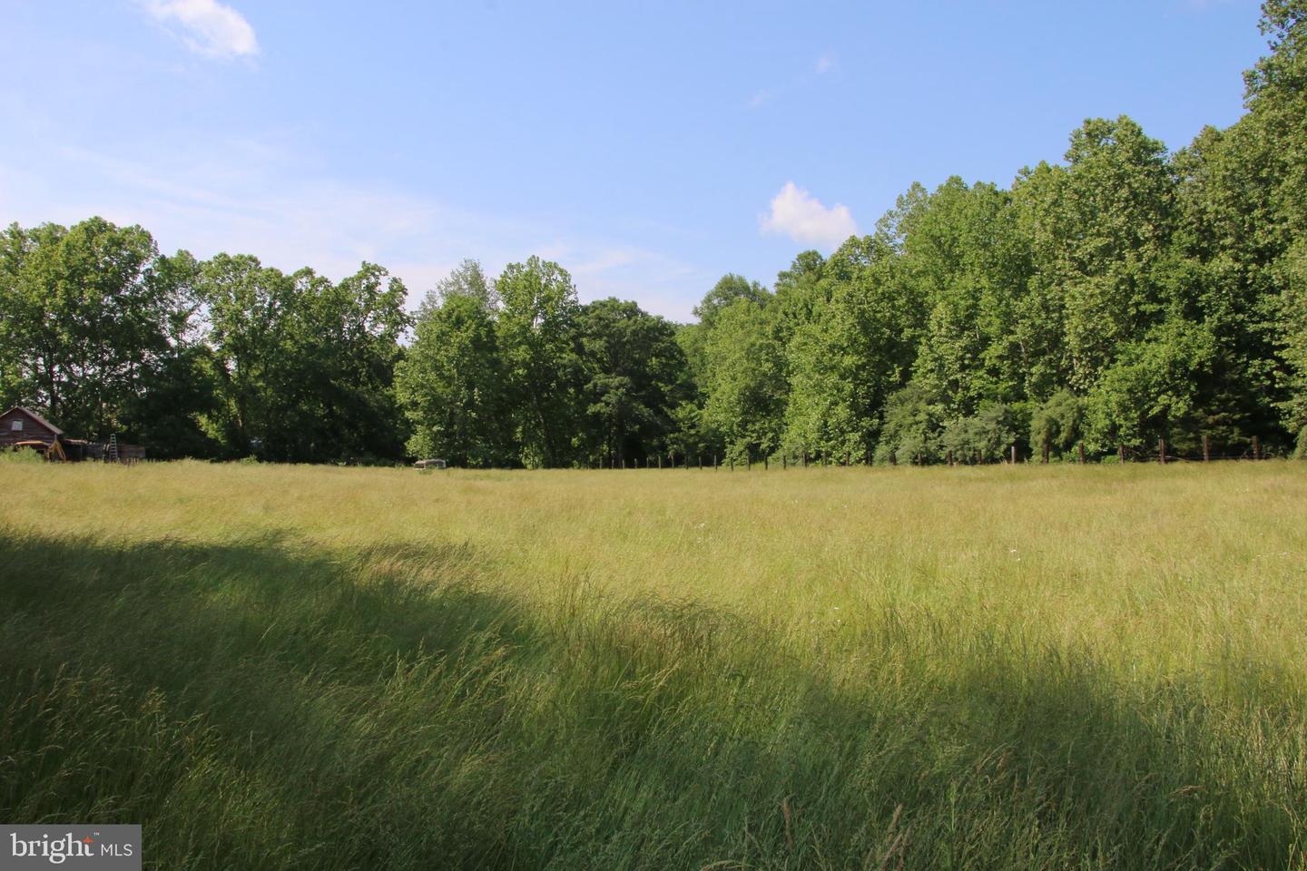 BRUSH CREEK RD, WINCHESTER, Virginia 22603, ,Land,For sale,BRUSH CREEK RD,VAFV2037512 MLS # VAFV2037512 BRUSH CREEK RD, WINCHESTER, Virginia 22603, ,Land,For sale,BRUSH CREEK RD,VAFV2037512 MLS # VAFV2037512