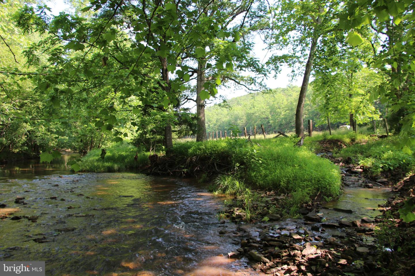 BRUSH CREEK RD, WINCHESTER, Virginia 22603, ,Land,For sale,BRUSH CREEK RD,VAFV2037512 MLS # VAFV2037512 BRUSH CREEK RD, WINCHESTER, Virginia 22603, ,Land,For sale,BRUSH CREEK RD,VAFV2037512 MLS # VAFV2037512