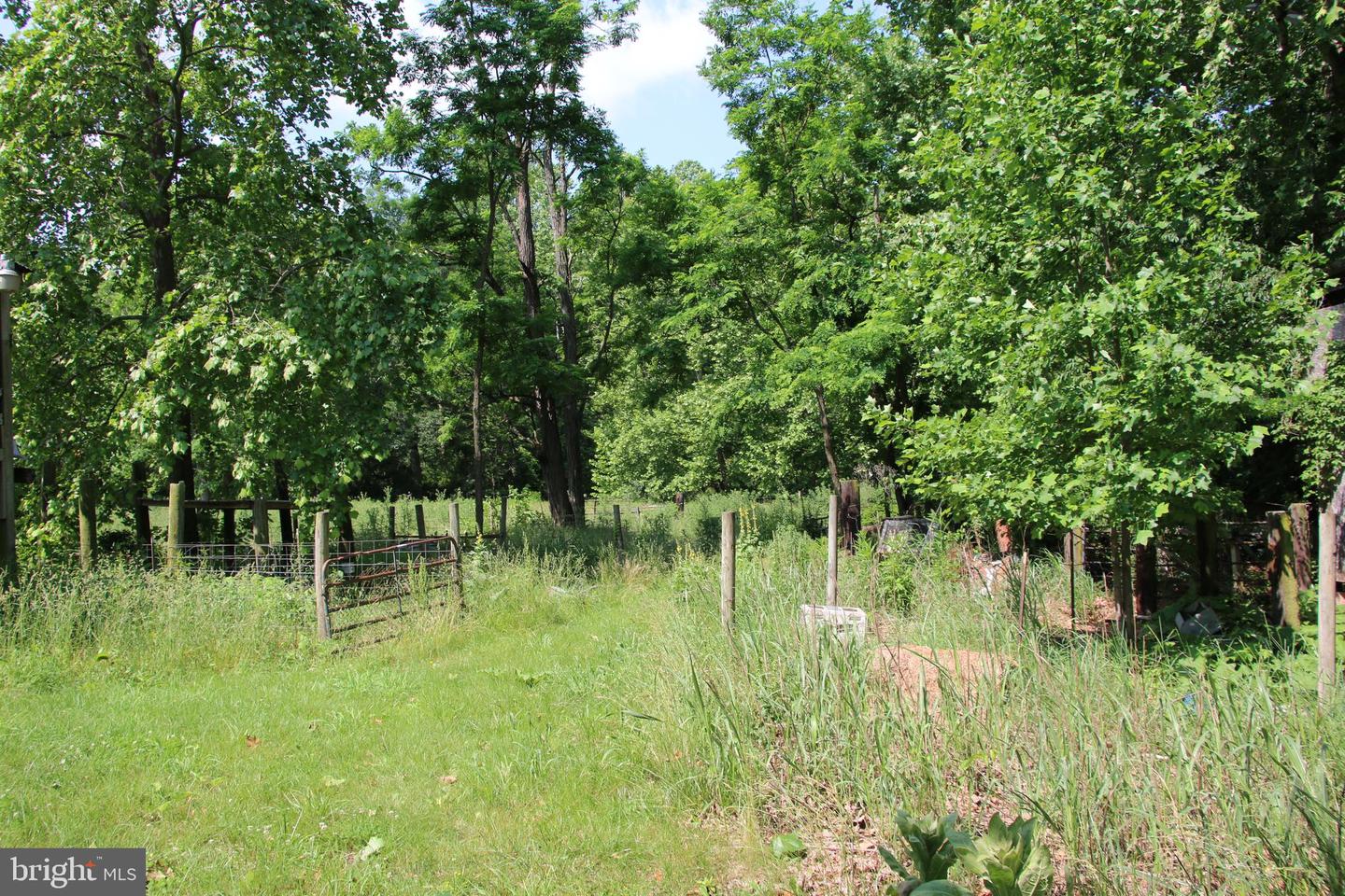 BRUSH CREEK RD, WINCHESTER, Virginia 22603, ,Land,For sale,BRUSH CREEK RD,VAFV2037512 MLS # VAFV2037512 BRUSH CREEK RD, WINCHESTER, Virginia 22603, ,Land,For sale,BRUSH CREEK RD,VAFV2037512 MLS # VAFV2037512