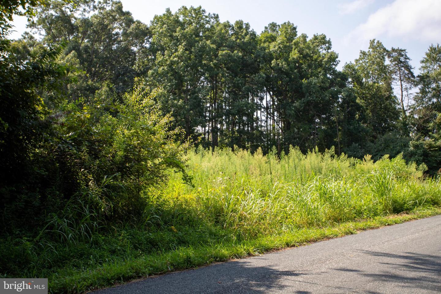 OLD WELL #1, PHENIX, Virginia 23959, ,Land,For sale,OLD WELL #1,VACE2000036 MLS # VACE2000036 OLD WELL #1, PHENIX, Virginia 23959, ,Land,For sale,OLD WELL #1,VACE2000036 MLS # VACE2000036