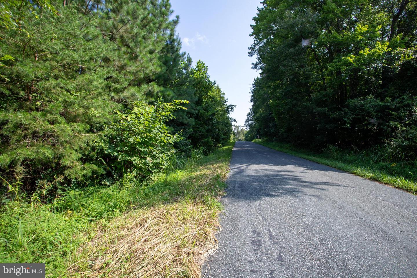 OLD WELL #1, PHENIX, Virginia 23959, ,Land,For sale,OLD WELL #1,VACE2000036 MLS # VACE2000036 OLD WELL #1, PHENIX, Virginia 23959, ,Land,For sale,OLD WELL #1,VACE2000036 MLS # VACE2000036