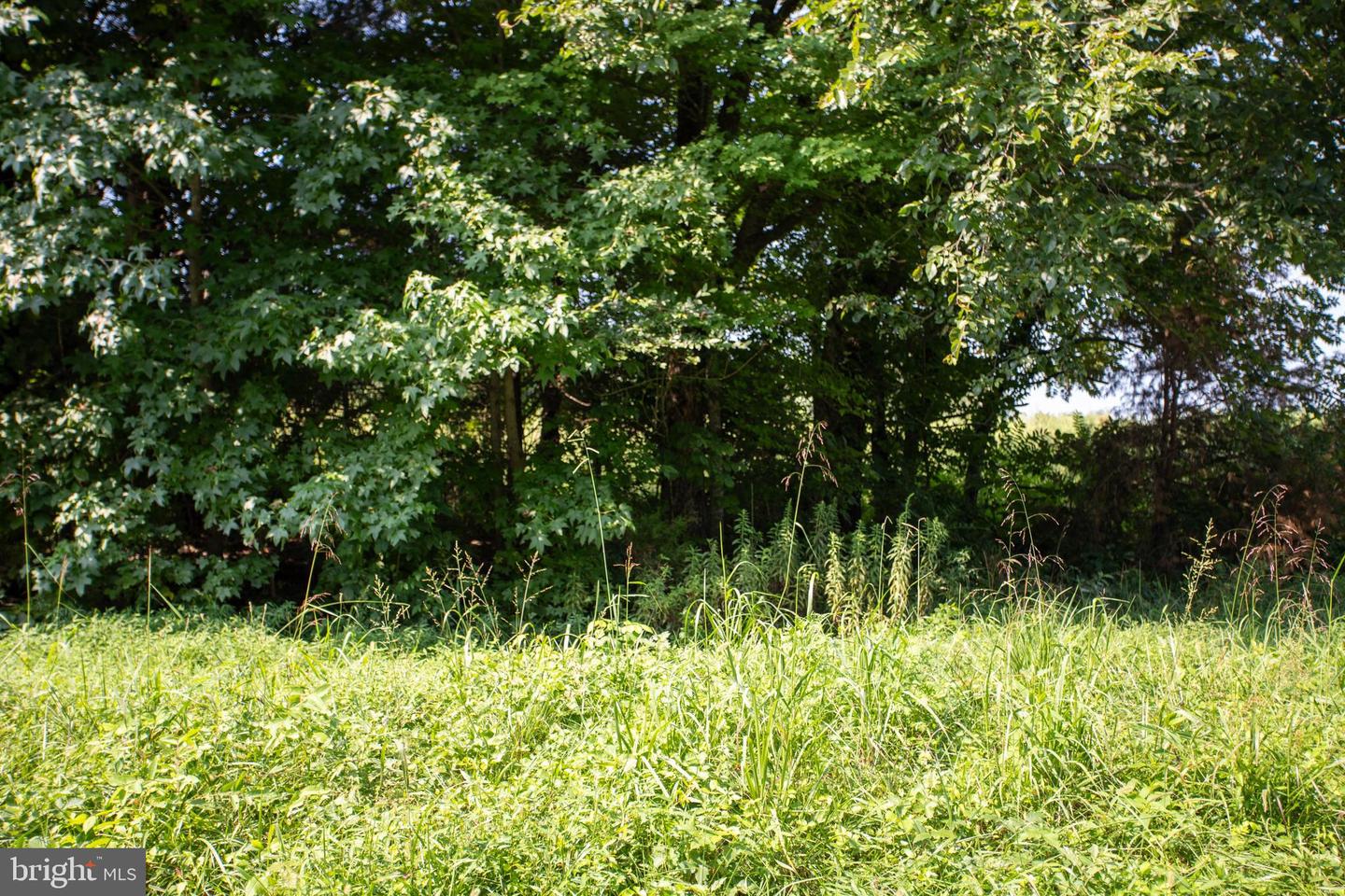 OLD WELL #1, PHENIX, Virginia 23959, ,Land,For sale,OLD WELL #1,VACE2000036 MLS # VACE2000036 OLD WELL #1, PHENIX, Virginia 23959, ,Land,For sale,OLD WELL #1,VACE2000036 MLS # VACE2000036