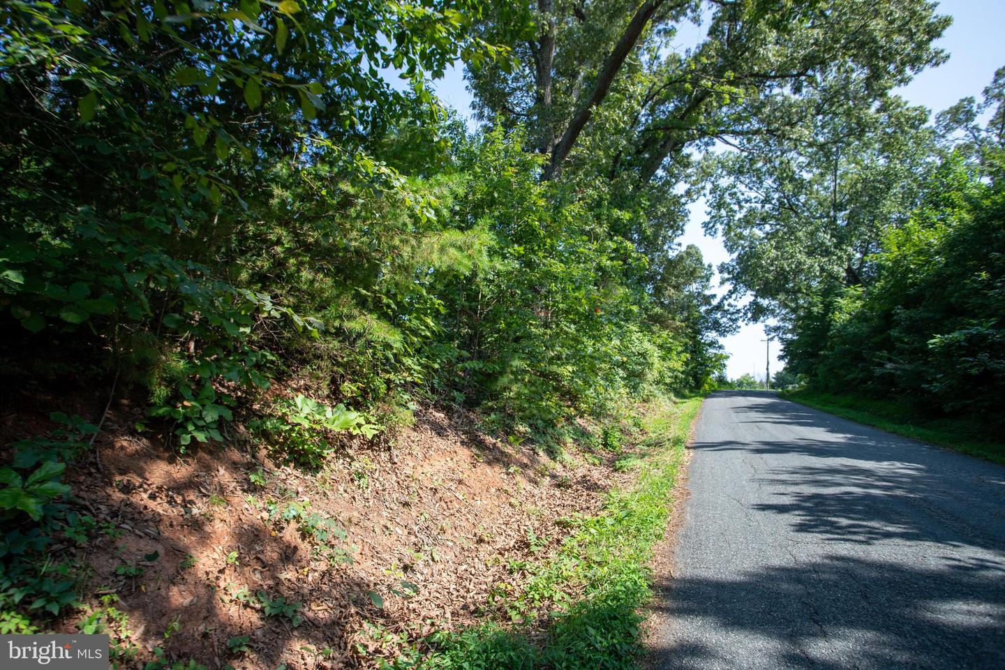 OLD WELL #1, PHENIX, Virginia 23959, ,Land,For sale,OLD WELL #1,VACE2000036 MLS # VACE2000036 OLD WELL #1, PHENIX, Virginia 23959, ,Land,For sale,OLD WELL #1,VACE2000036 MLS # VACE2000036