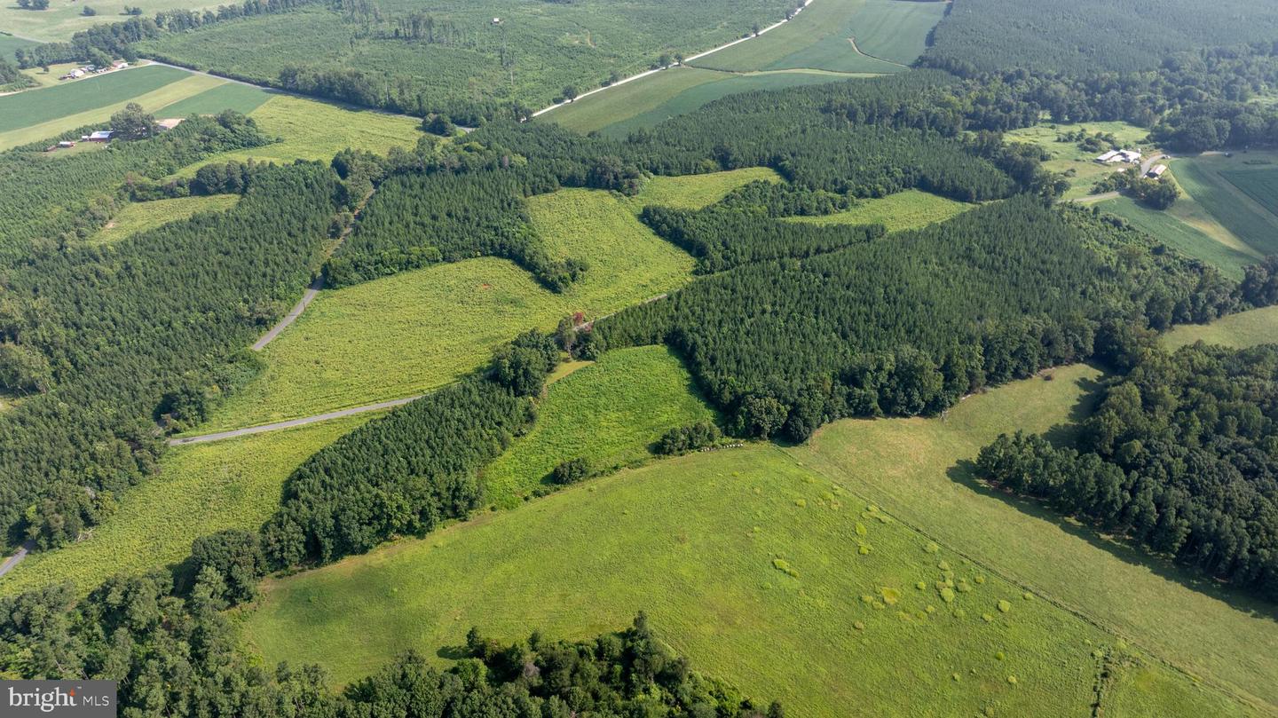OLD WELL #1, PHENIX, Virginia 23959, ,Land,For sale,OLD WELL #1,VACE2000036 MLS # VACE2000036 OLD WELL #1, PHENIX, Virginia 23959, ,Land,For sale,OLD WELL #1,VACE2000036 MLS # VACE2000036