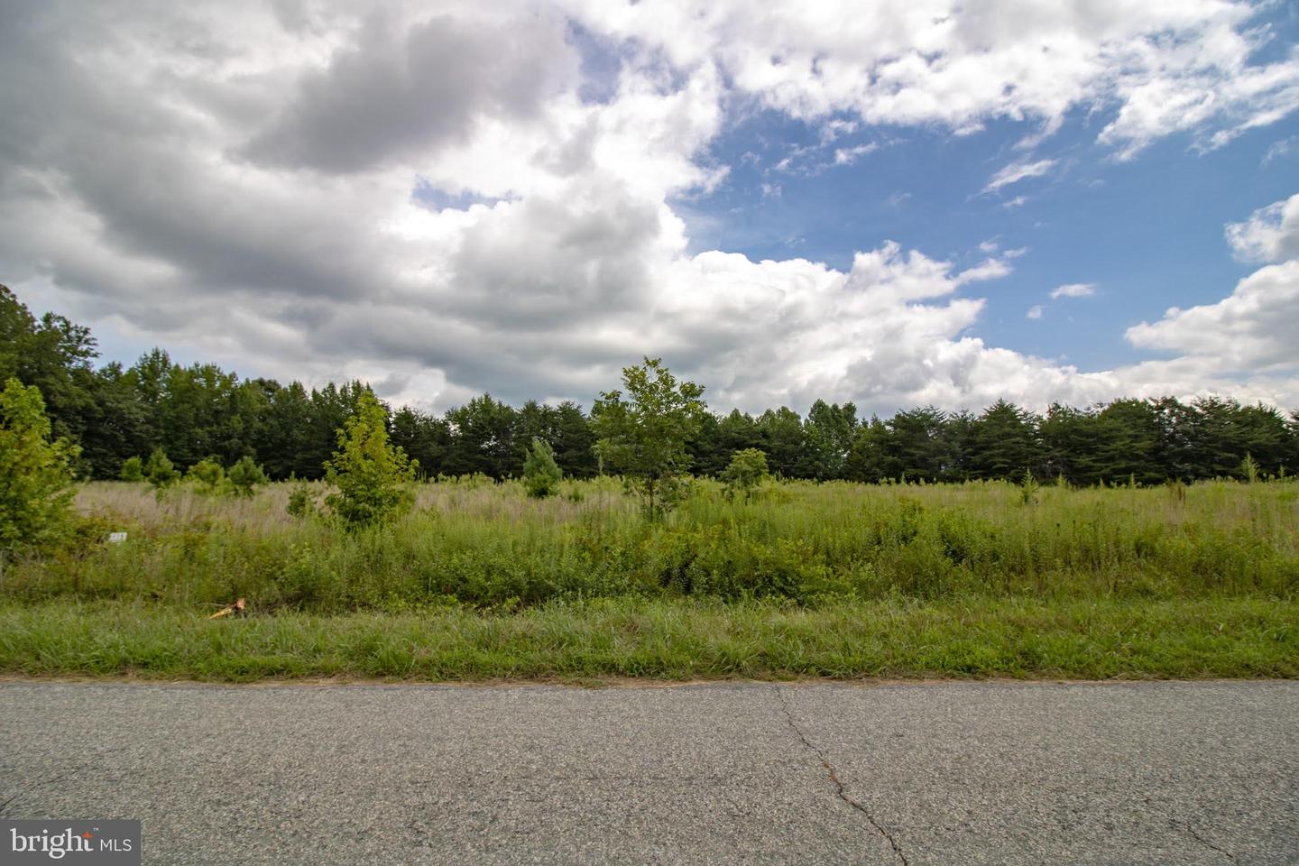 TBD REEVES MILL ROAD #1, SUTHERLIN, Virginia 24594, ,Land,For sale,TBD REEVES MILL ROAD #1,VAPI2000112 MLS # VAPI2000112 TBD REEVES MILL ROAD #1, SUTHERLIN, Virginia 24594, ,Land,For sale,TBD REEVES MILL ROAD #1,VAPI2000112 MLS # VAPI2000112