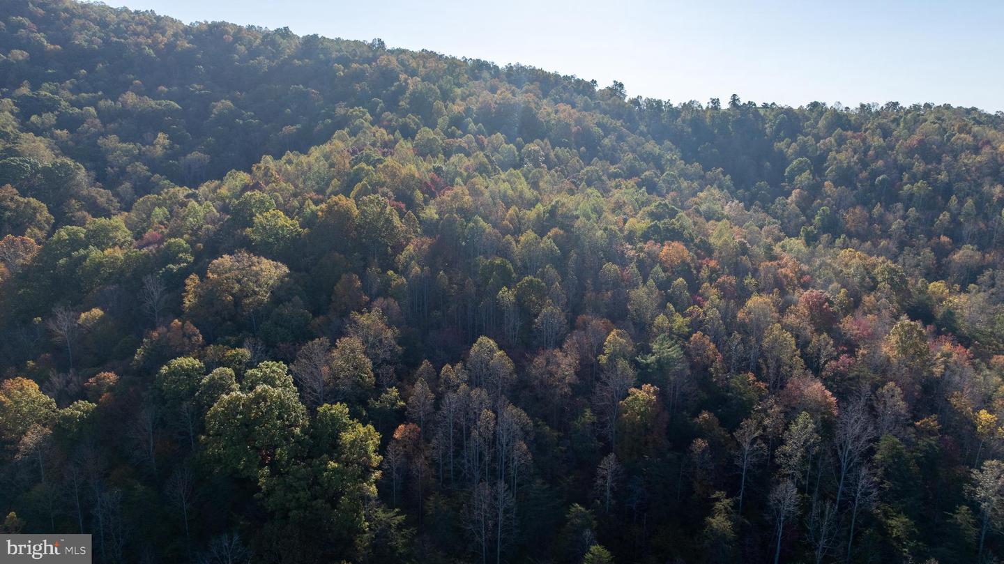 REPUBLICAN CHURCH #2, FERRUM, Virginia 24088, ,Land,For sale,REPUBLICAN CHURCH #2,VAFK2000090 MLS # VAFK2000090